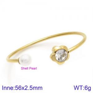 Stainless Steel Stone Bangle - KB123089-K