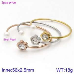 Stainless Steel Stone Bangle - KB123091-K