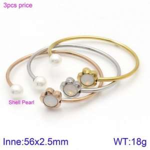 Stainless Steel Stone Bangle - KB123095-K