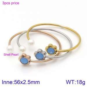 Stainless Steel Stone Bangle - KB123099-K