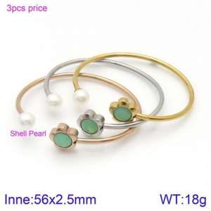 Stainless Steel Stone Bangle - KB123103-K