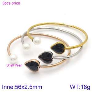 Stainless Steel Stone Bangle - KB123107-K