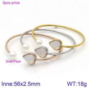 Stainless Steel Stone Bangle - KB123111-K