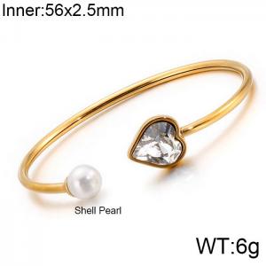 Stainless Steel Stone Bangle - KB123113-K