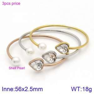 Stainless Steel Stone Bangle - KB123115-K