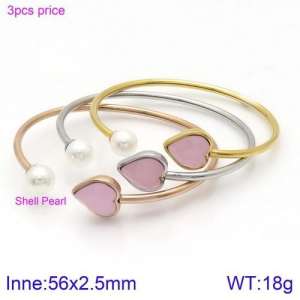 Stainless Steel Stone Bangle - KB123119-K