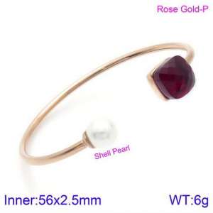 Stainless Steel Stone Bangle - KB123434-K