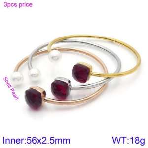 Stainless Steel Stone Bangle - KB123436-K