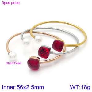 Stainless Steel Stone Bangle - KB123440-K