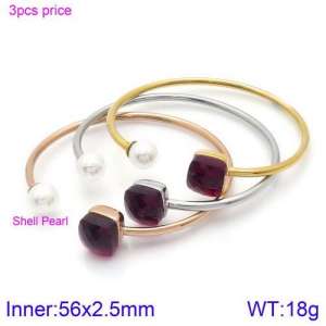 Stainless Steel Stone Bangle - KB123444-K