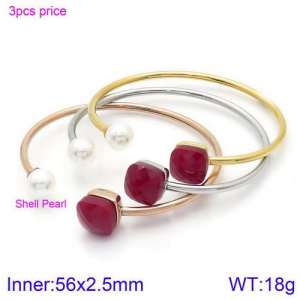 Stainless Steel Stone Bangle - KB123448-K