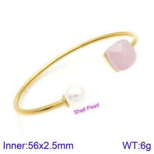 Stainless Steel Stone Bangle - KB123449-K