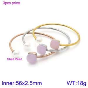 Stainless Steel Stone Bangle - KB123452-K