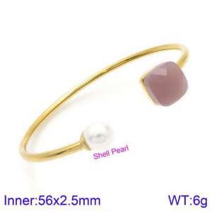 Stainless Steel Stone Bangle - KB123453-K