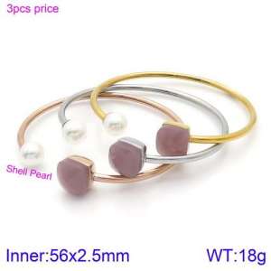 Stainless Steel Stone Bangle - KB123456-K