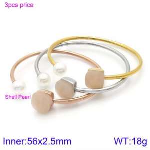 Stainless Steel Stone Bangle - KB123460-K