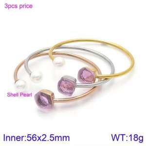 Stainless Steel Stone Bangle - KB123464-K