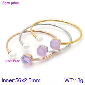 Stainless Steel Stone Bangle - KB123468-K