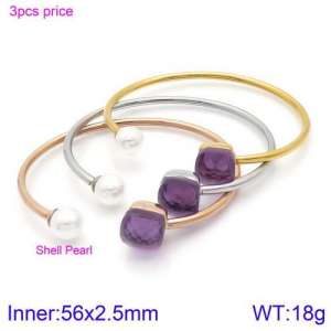 Stainless Steel Stone Bangle - KB123476-K