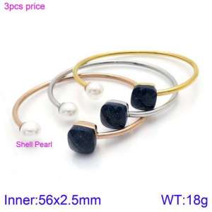 Stainless Steel Stone Bangle - KB123484-K