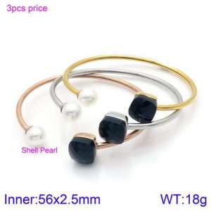 Stainless Steel Stone Bangle - KB123488-K