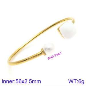 Stainless Steel Stone Bangle - KB123493-K