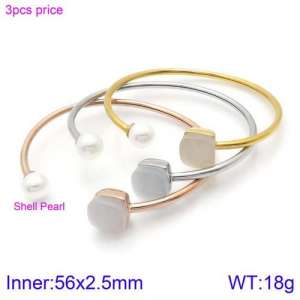 Stainless Steel Stone Bangle - KB123500-K