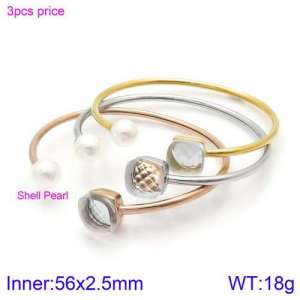 Stainless Steel Stone Bangle - KB123504-K