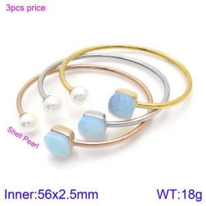 Stainless Steel Stone Bangle - KB123508-K