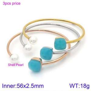 Stainless Steel Stone Bangle - KB123520-K