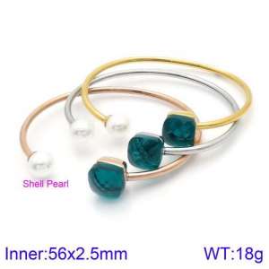 Stainless Steel Stone Bangle - KB123524-K