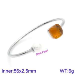 Stainless Steel Stone Bangle - KB123529-K