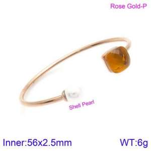 Stainless Steel Stone Bangle - KB123530-K