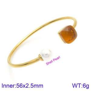 Stainless Steel Stone Bangle - KB123531-K