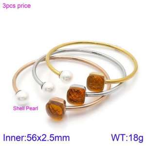 Stainless Steel Stone Bangle - KB123532-K