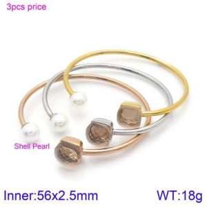 Stainless Steel Stone Bangle - KB123536-K