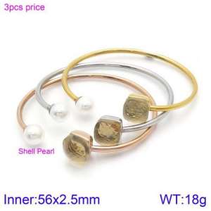 Stainless Steel Stone Bangle - KB123540-K