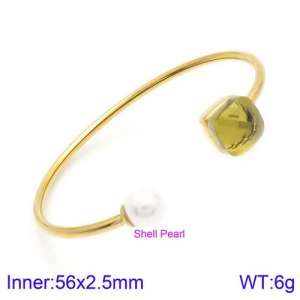 Stainless Steel Stone Bangle - KB123541-K