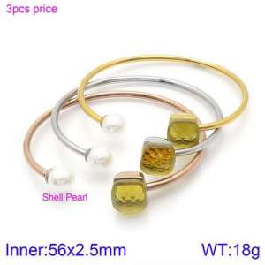 Stainless Steel Stone Bangle - KB123544-K