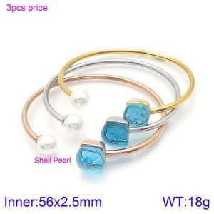 Stainless Steel Stone Bangle - KB123548-K