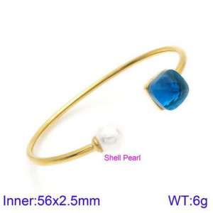 Stainless Steel Stone Bangle - KB123549-K