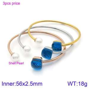 Stainless Steel Stone Bangle - KB123552-K