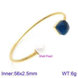 Stainless Steel Stone Bangle - KB123554-K