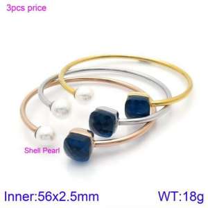 Stainless Steel Stone Bangle - KB123556-K