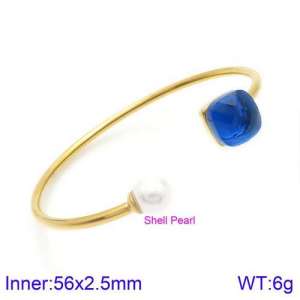 Stainless Steel Stone Bangle - KB123557-K