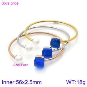 Stainless Steel Stone Bangle - KB123560-K