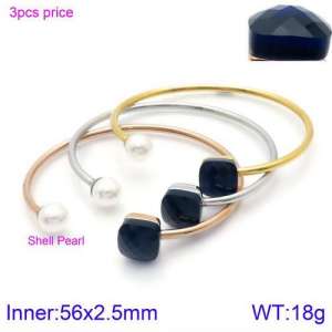 Stainless Steel Stone Bangle - KB123568-K