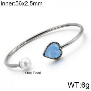 Stainless Steel Stone Bangle - KB123877-K