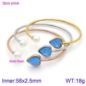 Stainless Steel Stone Bangle - KB123880-K