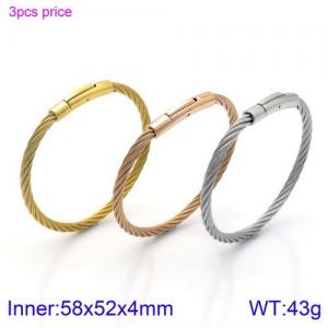 Stainless Steel Wire Bangle - KB130174-KFC